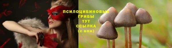 наркотики Тайга